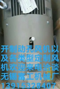 各類型號定制風機